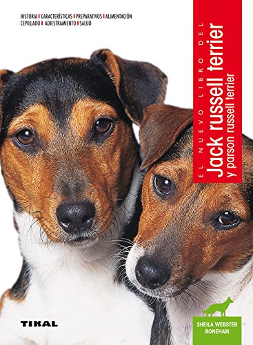 Jack russell terrier y parson russell terrier Jack russell terrier y parson russell terrier