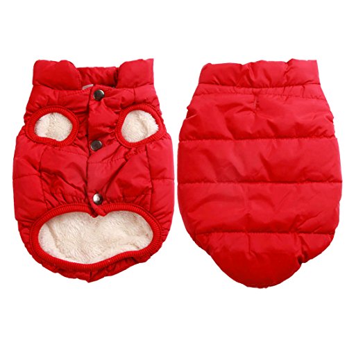 JoyDaog - Chaqueta de perro con forro polar de 2 capas para invierno y clima frío, extra suave, a prueba de viento, para cachorro y perros pequeños JoyDaog - Chaqueta de perro con forro polar de 2 capas para invierno y clima frío, extra suave, a prueba de viento, para cachorro y perros pequeños