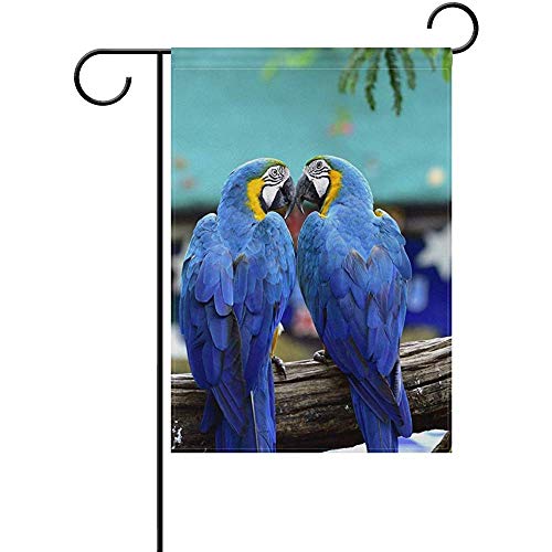 NA Jardín Bandera Azul Oro Guacamayo Aves Moderno Decorativo Patio de Doble Cara 12.5 * 18in