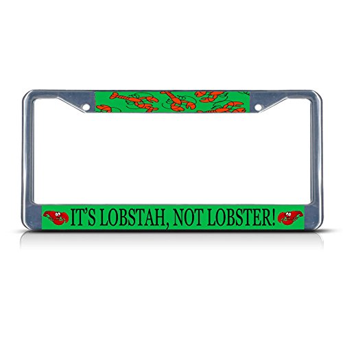 Moon Placa de Metal para matrícula con Dos Agujeros, Ideal para Hombres y Mujeres, decoración de garaderas de Coche