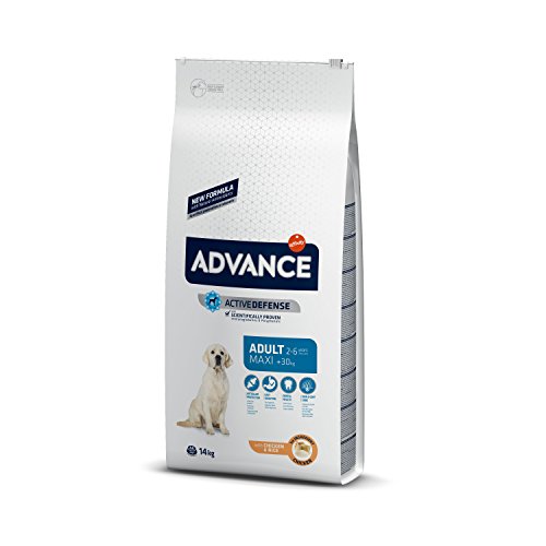 Advance Pienso para Perro Maxi Adulto con Pollo - 14000 gr