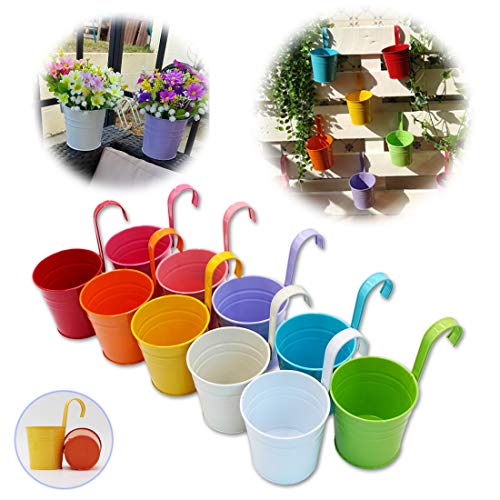 GIOVARA Juego de 10 Jarrones de Flores de Metal Florero para Colgar Canasta sin Orificio de Drenaje, Gancho Desmontable, Balcón Jardín Decoración para el Hogar GIOVARA Juego de 10 Jarrones de Flores de Metal Florero para Colgar Canasta sin Orificio de Drenaje, Gancho Desmontable, Balcón Jardín Decoración para el Hogar