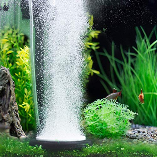 Hygger Acuario Aire Piedra, Burbujeador para Tanque de Peces, Nano Piedra Circular Horneada para Hidroponia, Pequeñas Burbujas, Difusor de Oxígeno Disuelto Gama Ultra-Alta (Negro 50mm) Hygger Acuario Aire Piedra, Burbujeador para Tanque de Peces, Nano Piedra Circular Horneada para Hidroponia, Pequeñas Burbujas, Difusor de Oxígeno Disuelto Gama Ultra-Alta (Negro 50mm)