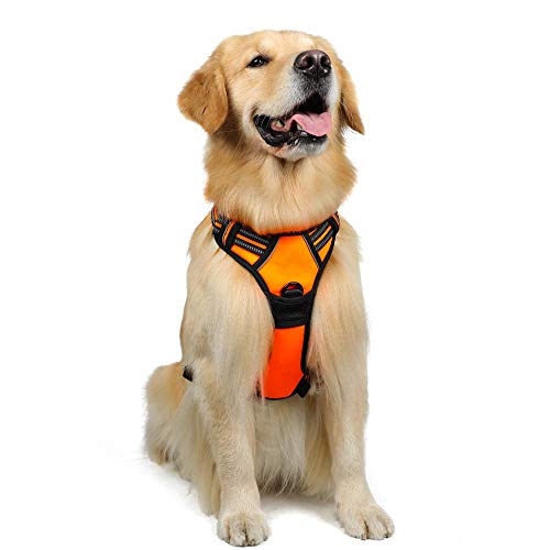 rabbitgoo Arnes Antitirones Perro Ajustable con Lineas Reflectantes Arnés Coche Perro Coche Adiesreamiento Arnes Perro Chaleco Transpirable con Asa Seguridad Easy Walk Grande Naranja