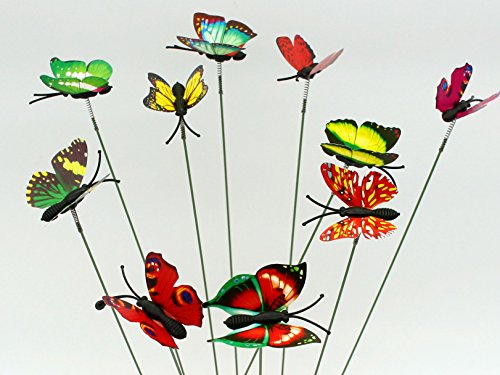 SecretRain Diseño de Hada del jardín en Miniatura Botes para Especias de Flores diseño con Texto en inglés de Maceta 10 Piezas de Colores Brillante de Mariposa de Vinilo