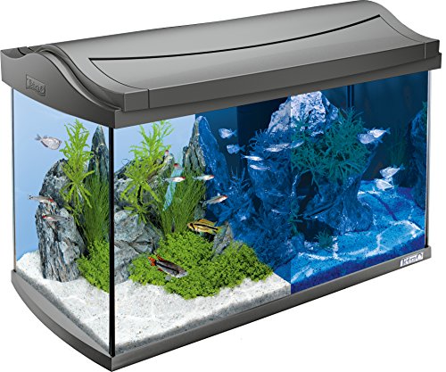 Tetra Acuario Tetra AquaArt LED 60L Set completo 60 L Tetra Acuario Tetra AquaArt LED 60L Set completo 60 L