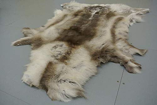 Fine reno (rangifer tarandus) suave alta calidad piel de curtido Fluffy Fur ocultar alfombra taxidermia Coleccionable de caza con chimenea.