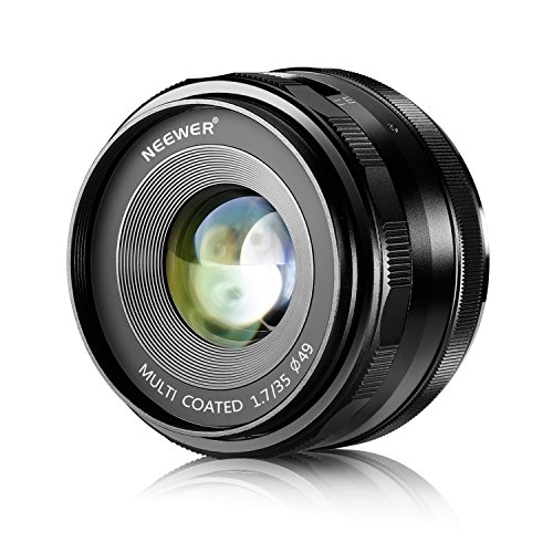 Neewer 35 mm f/1.7 Lentes con Fuego Manual para cámaras Digitales Sony E-Mount con Sensor APS-C, como Sony A7III A9 NEX 3 3N 5 NEX 5T NEX 5R NEX 6 7 A6400 A5000 A5100 A6000 A6100 A6300 A6500