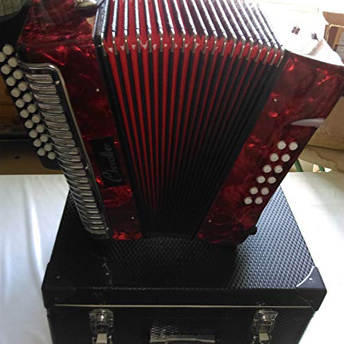 Fisarmonica Diatonica 12 Bassi Per Principianti - Con Custodia Rigida E 3 Anni Garanzia - Foto 2