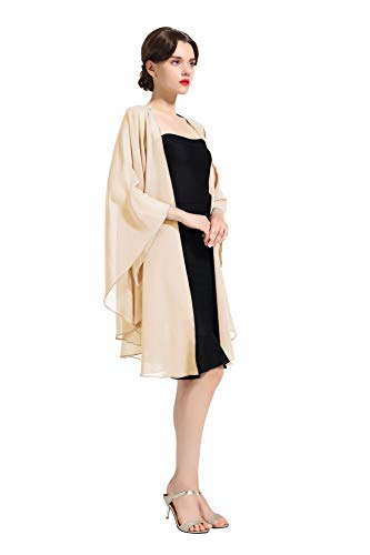 BEAUTELICATE Chal Estola Mujer de Gasa para Fiesta Novia Boda 25 Colores BEAUTELICATE Chal Estola Mujer de Gasa para Fiesta Novia Boda 25 Colores