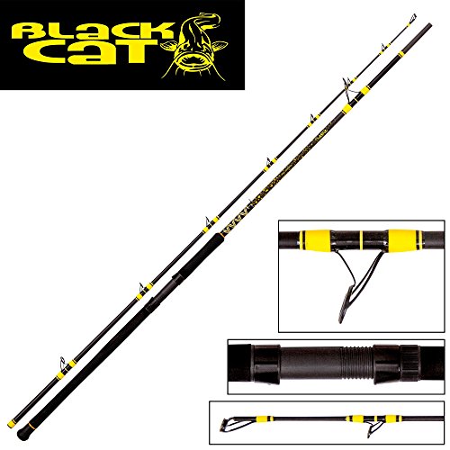 Black Cat Passion Pro DX – Caña de Pescar Siluro, Standart, One Size