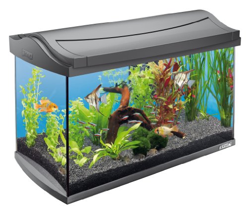 Tetra AquaArt Kit de acuario completo Discover Line, 60L 60 L Tetra AquaArt Kit de acuario completo Discover Line, 60L 60 L