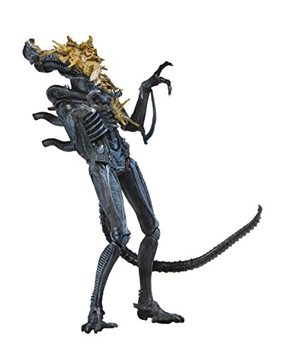 Aliens- Figura Warrior dañado (Neca NEC0NC51639) , color/modelo surtido