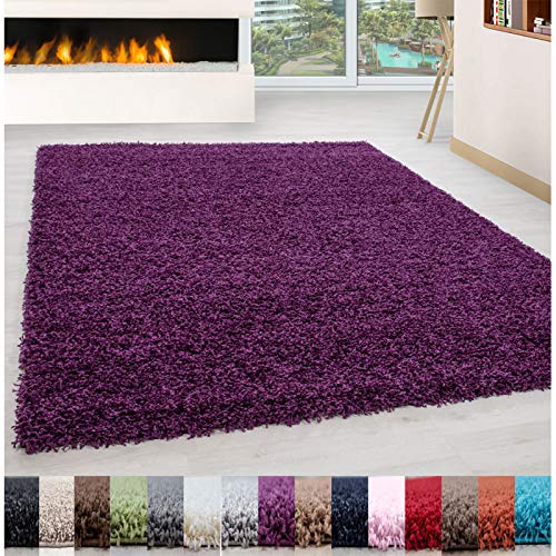 Carpet 1001 Pelo Largo Peluda Shaggy Sala de Estar Alfombra de Diferentes Tamaños y Colores - Púrpura, 120x170 cm