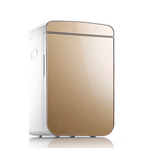 Refrigerador Alquilar un Dormitorio pequeño automóvil en la casa Refrigerado por cosméticos Mini Dos Colores 31 * 49 * 34cm XMJ (Color : Silver)