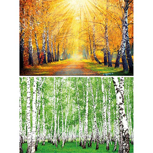GREAT ART Set de 2 pósters XXL - abedules - otoño Dorado y Verde Verano Bosque Paisaje Naturaleza árboles Camino Forestal Avenida decoración Foto póster (140 x 100 cm)