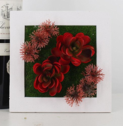 Flores artificiales, marco de fotos montado en la pared, marco de la foto de la planta artificial, montado en la pared, decoración suculenta de la pared de la flor de la simulación de la pared del marco de la foto artificial , 5a Flores artificiales, marco de fotos montado en la pared, marco de la foto de la planta artificial, montado en la pared, decoración suculenta de la pared de la flor de la simulación de la pared del marco de la foto artificial , 5a