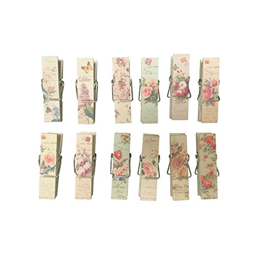 Antic Line - Lote de 12 Pinzas de la Ropa, diseño con Flores