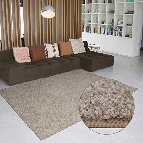 Carpet Studio Alfombra Suave al Tacto 160x230cm, Salón/Cocina/Dormitorio/Pasillo, Decoracion Habitacion, Fácil de Mantener, Camel