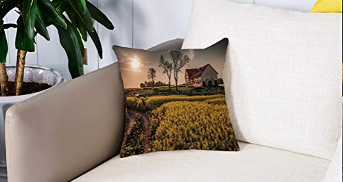 Square Soft and Cozy Pillow Covers,Casa de campo, viejo prado floral rural abandonado pueblo idílico paisaje pastoral, multicolor,,Funda para Decorar Sofá Dormitorio Decoración Funda de almohada.