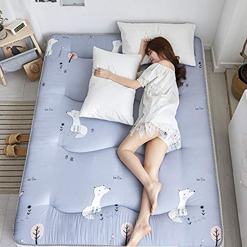 ZDiane Japonés Plegable Futón, Piso Sofá Cama Sofá Perezoso para Pequeño Apartamento Casa De Alquiler Dormitorio Mat, E, 90x200cm(35x79inch),B,150x200cm(59x79inch)