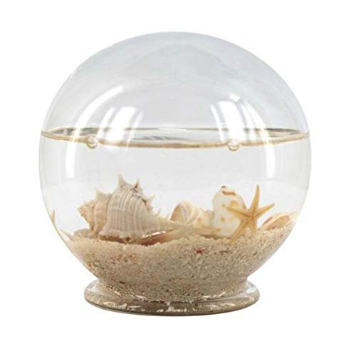 Adorno Sobremesa Decorativo de Cristal Bola Marinera con Arena Figuras y Esculturas. Decoración Hogar. Regalos Originales. 9 x 9.5 x 9.5 cm. Adorno Sobremesa Decorativo de Cristal Bola Marinera con Arena Figuras y Esculturas. Decoración Hogar. Regalos Originales. 9 x 9.5 x 9.5 cm.