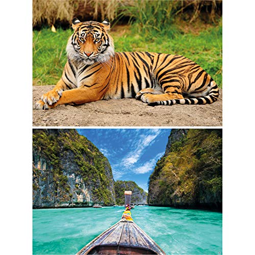 GREAT ART set de 2 posters XXL – majestuoso tigre de la jungla - bahía tropical gato salvaje Tailandia barco de cola larga mar palmeras rocas decoración foto (140 x 100 cm)