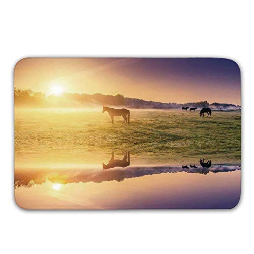 Kinhevao Alfombrilla para la Puerta de la decoración del apartamento, Horse Valley en el Sur con un Reflejo del Lago y Felpudo Que se Levanta sobre Las montañas. Kinhevao Alfombrilla para la Puerta de la decoración del apartamento, Horse Valley en el Sur con un Reflejo del Lago y Felpudo Que se Levanta sobre Las montañas.