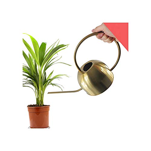 Pequeñas Plantas de calderas 1500 ml de riego para Larga Cepillado apartamento Pico riego de Jardines de riego de Acero Inoxidable Pequeñas Plantas de calderas 1500 ml de riego para Larga Cepillado apartamento Pico riego de Jardines de riego de Acero Inoxidable