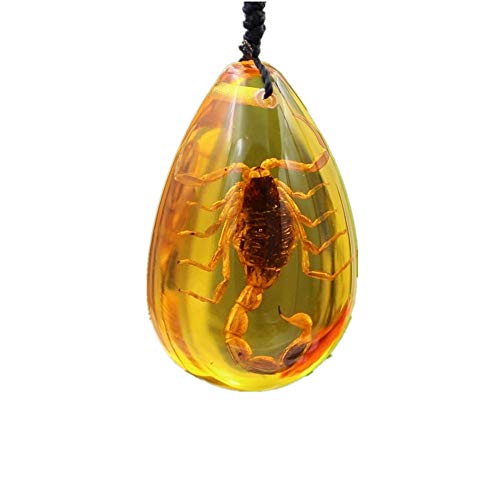 TYGJB Piedra de Insectos Escorpiones Naturales inclusión ámbar Colgante del Báltico Collar Piedra Decorativa hogar Boda Fiesta Viaje Regalo TYGJB Piedra de Insectos Escorpiones Naturales inclusión ámbar Colgante del Báltico Collar Piedra Decorativa hogar Boda Fiesta Viaje Regalo