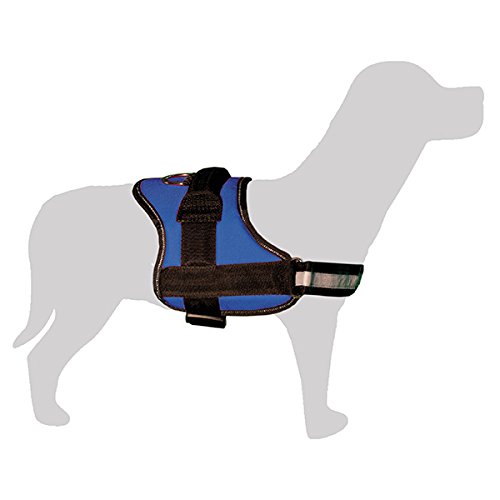 Arquivet 17558 Arnés Acolchado Azul y Negro Talla M Arquivet 17558 Arnés Acolchado Azul y Negro Talla M