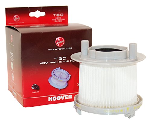 Hoover 35600415 T80 Hepa filtro Para Alyx alyxx Rush aspirador sin bolsa x 1