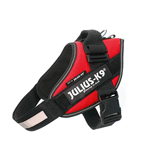 Julius-K9 16IDC - Power Harness Julius-K9 16IDC - Power Harness