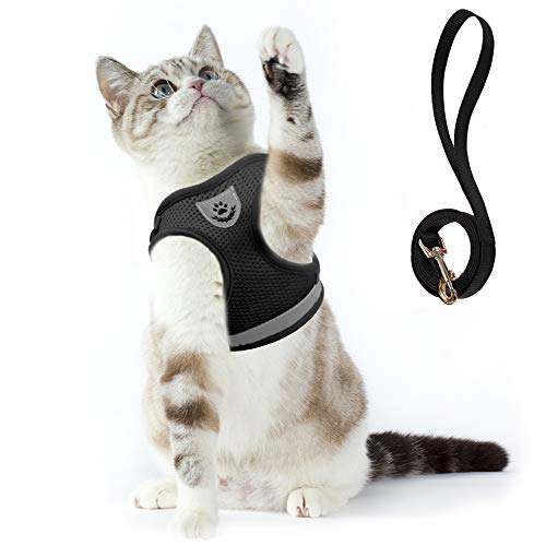 Supet Arnés y Correa para Gato Chaleco Reflectante de Nylon Suave para Perros Pequeños para Correr, Correr, Correas de Entrenamiento, Adecuado para Gatos, Cachorros, Mascotas Pequeñas Supet Arnés y Correa para Gato Chaleco Reflectante de Nylon Suave para Perros Pequeños para Correr, Correr, Correas de Entrenamiento, Adecuado para Gatos, Cachorros, Mascotas Pequeñas