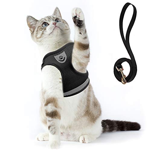 Supet Arnés y Correa para Gato Chaleco Reflectante de Nylon Suave para Perros Pequeños para Correr, Correr, Correas de Entrenamiento, Adecuado para Gatos, Cachorros, Mascotas Pequeñas