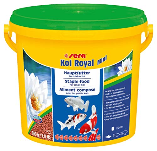 Sera Koi Royal Mini (2 mm) es un alimento para el Desarrollo óptimo de Koi hasta 12 cm con prebióticos para un Mejor aprovechamiento de la alimentación, Menor Carga de Agua y Menos Algas. Sera Koi Royal Mini (2 mm) es un alimento para el Desarrollo óptimo de Koi hasta 12 cm con prebióticos para un Mejor aprovechamiento de la alimentación, Menor Carga de Agua y Menos Algas.