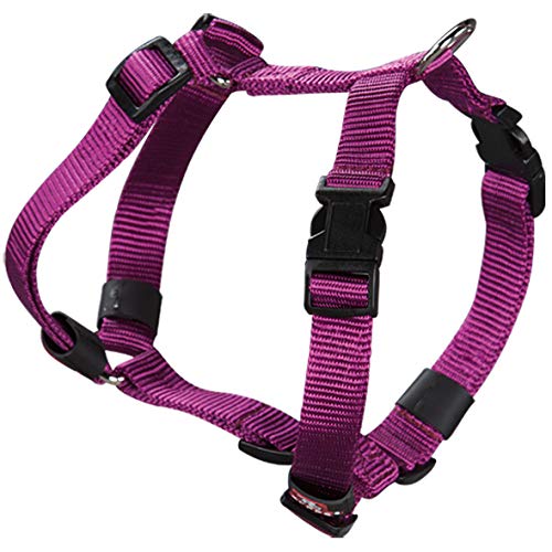 Arppe 2241012511 Arnés Nylon Basic, Morado Arppe 2241012511 Arnés Nylon Basic, Morado