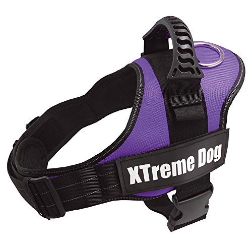 Arquivet Arnés Xtreme Dog, M (61-81 cm)