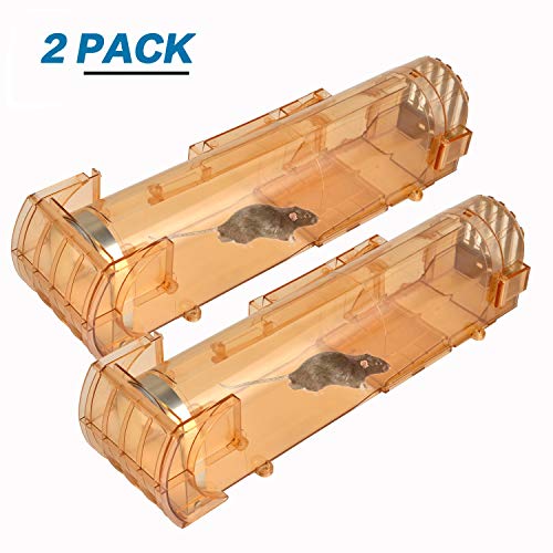 Viccioo 2Pcs Trampa para Ratas Plástico Translúcido,Trampa para Ratones Vivos,Reutilizable y Fácil de Limpiar,Potente Trampa para Ratas para Cocina Jardín Hogar Oficinas Ático Garaje,No Matar Viccioo 2Pcs Trampa para Ratas Plástico Translúcido,Trampa para Ratones Vivos,Reutilizable y Fácil de Limpiar,Potente Trampa para Ratas para Cocina Jardín Hogar Oficinas Ático Garaje,No Matar