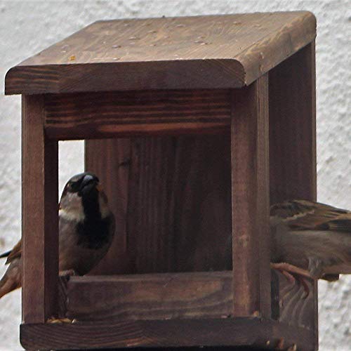 Comedero para pájaros 'Wengué' Comedero para pájaros 'Wengué'