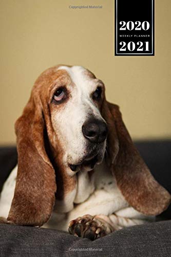 Basset Hound Dog Pup Puppy Doggie Week Planner Weekly Organizer 2020 / 2021 - Relaxing On The Sofa: Animal Lover Pet Owner Gift Idea - Schedule Notebook Journal in 6" x 9" Inch Basset Hound Dog Pup Puppy Doggie Week Planner Weekly Organizer 2020 / 2021 - Relaxing On The Sofa: Animal Lover Pet Owner Gift Idea - Schedule Notebook Journal in 6" x 9" Inch