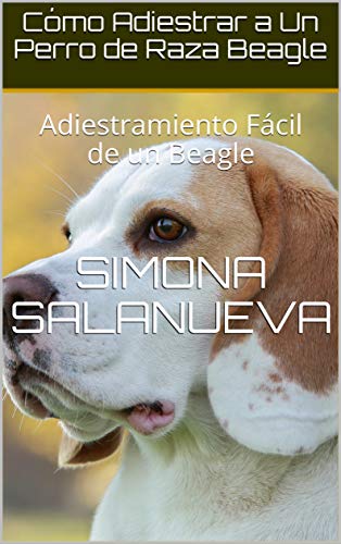 Cómo Adiestrar a Un Perro de Raza Beagle  : Adiestramiento Fácil de un Beagle