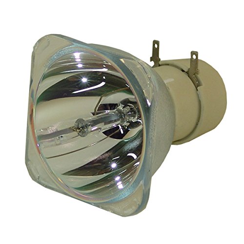 Lámpara de Remplazo Original Philips para Proyector para BenQ MX507 (Sin Carcasa)