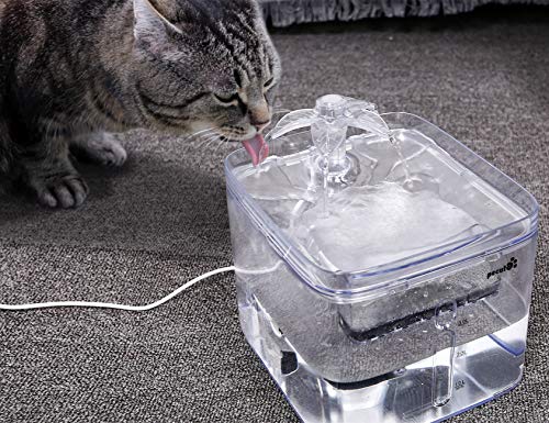 Pecute Fuente de Agua para Gatos y Perros 3L Transparente Automático Dispensador Bebederos Gatos, 3 Modos de Agua, 40dB súper silencioso, Pack de 2 Filtros de Carbón