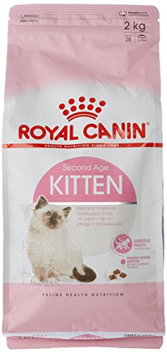 Royal Canin C-58432 Gato - 2 Kg Royal Canin C-58432 Gato - 2 Kg