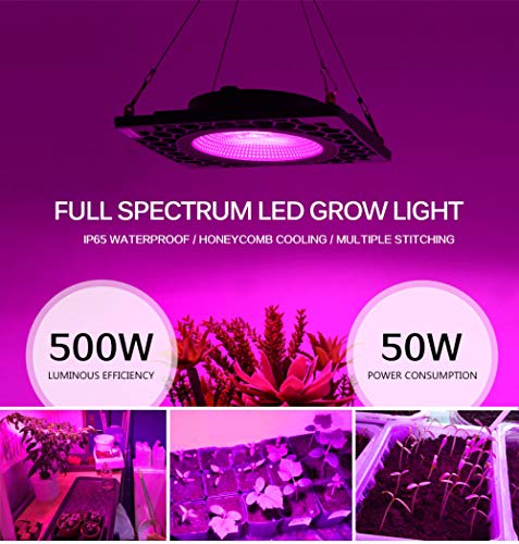 Luz de la planta Luz de crecimiento de espectro completo 50W Led Grow Light Cob Full Spectrum Led Growing Lamp 500W Alta Eficiencia Luminosa Fito Lámparas Para Plantas Grow Carpa Invernadero