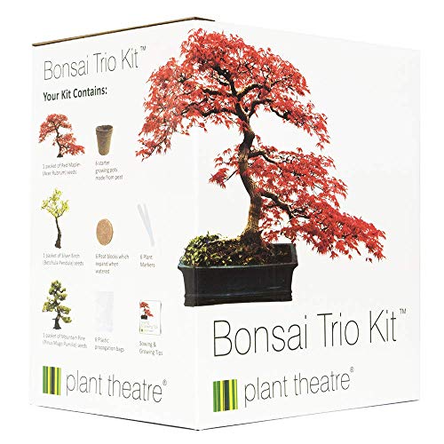 Plant Theatre - Kit de germinación bonsais