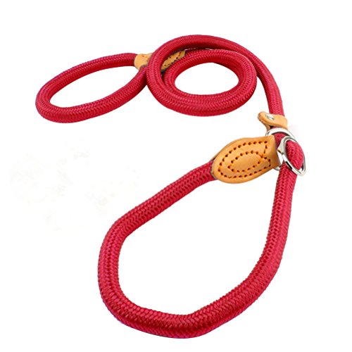 UEETEK 1,2 CM perro Slip plomo formación correa Collar Nylon plomo para mascotas entrenamiento (rojo)