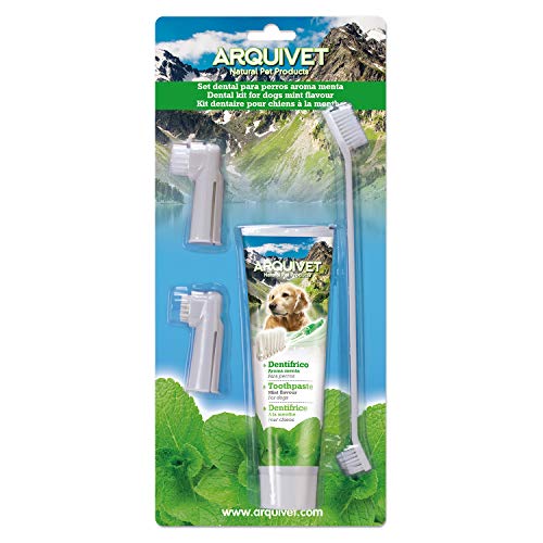 Arquivet 8435117825048 - Set Dental Sabor Menta Arquivet 8435117825048 - Set Dental Sabor Menta