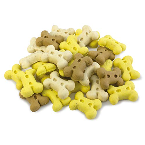Arquivet Galletas Mini Huesos de Vainilla 2,50 kg - 2530 gr Arquivet Galletas Mini Huesos de Vainilla 2,50 kg - 2530 gr